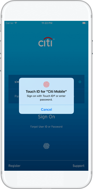 citi mobile app global transfer