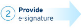 2 - Provide e-signature