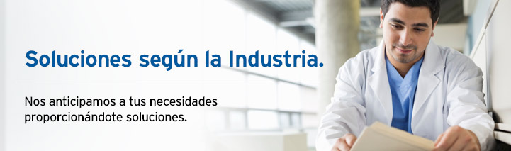 Soluciones para Pequeñas Empresas según la Industria